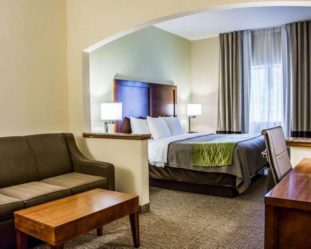 Comfort Inn Fort Myers Northeast Pokoj fotografie